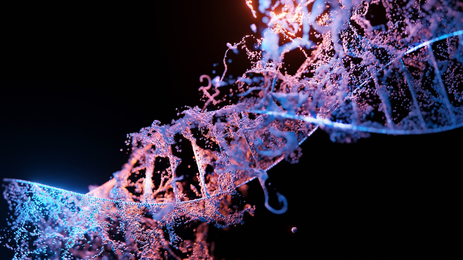 Genomic sequence data representing Rotavirus whole-genome analysis.
